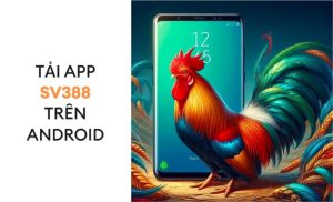 Cách download ứng dụng đá gà Sv388 trên điện thoại Android